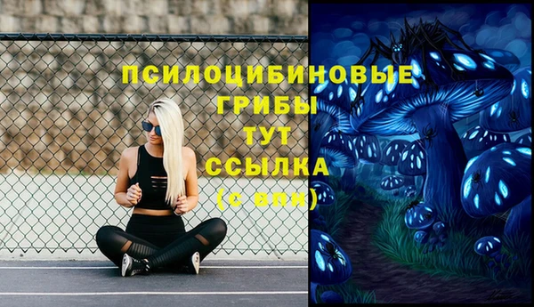 дурь Гусь-Хрустальный