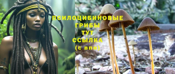 дурь Гусь-Хрустальный