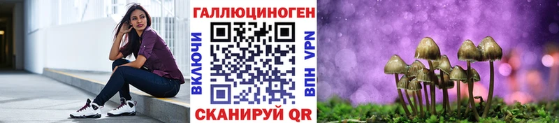 Купить где  Канаш  Галлюциногенные грибы мицелий 